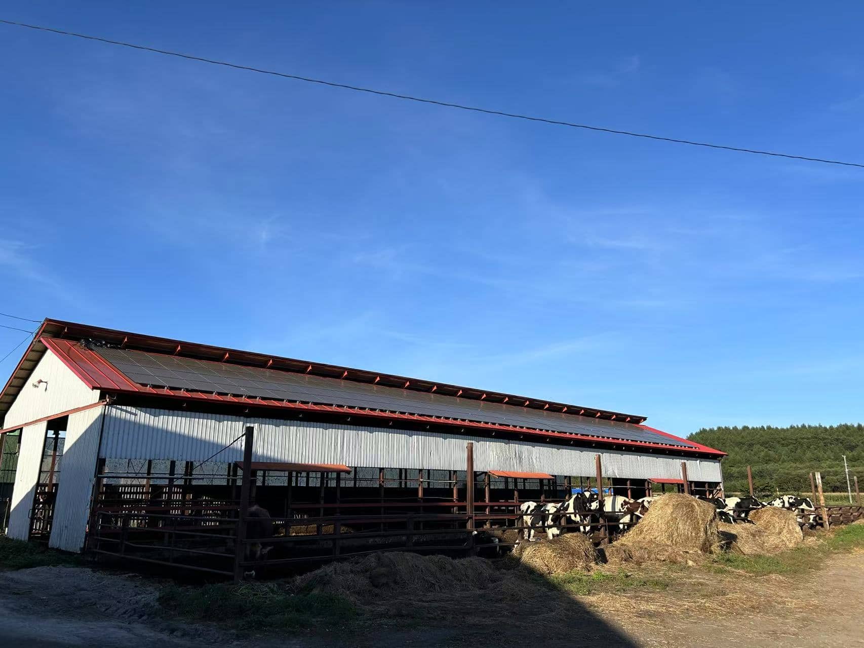 1748253284402262.jpg 19.jpg